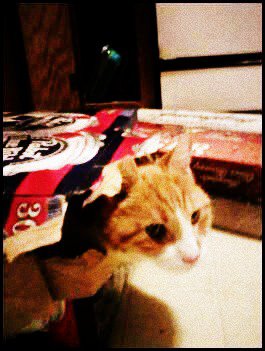 And, obviously, hating you. That was another of his favorite things. 