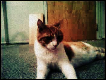 You're welcome, George