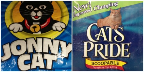 It's pride vs Jons in this battle for glory