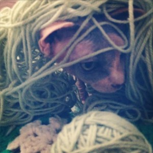 Friday night. Just got paid. My cat found my knitting