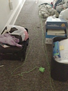 ...like, it's not a GREAT feeling when even your cat kind of disrespects you