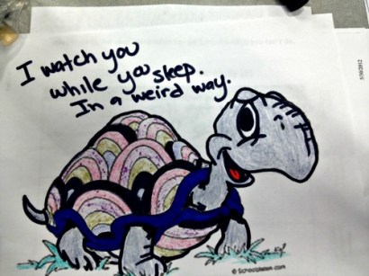 What're you dreaming about?